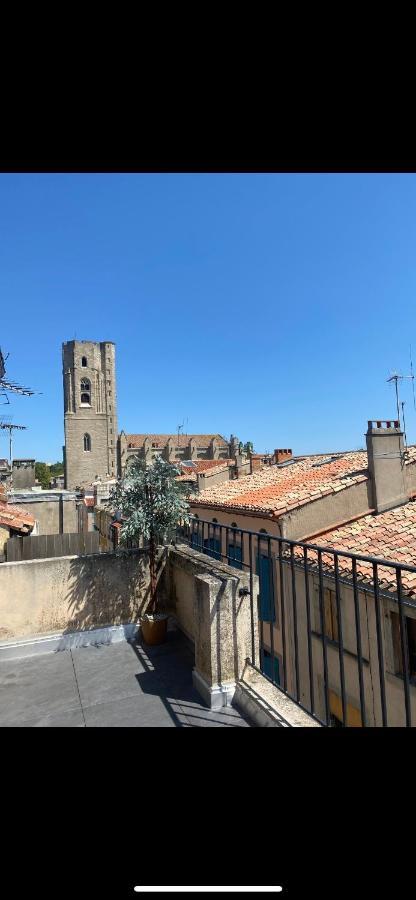 Rooftop Standing Place Carnot Carcassonne Eksteriør billede